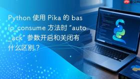 python 使用 pika 的 basic_consume 方法时 “auto_ack” 参数开启和关闭有什么区别?