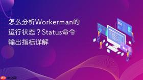 怎么分析Workerman的运行状态？Status命令输出指标详解
