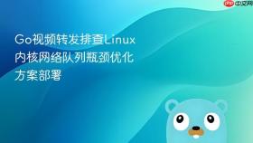 go视频转发排查linux内核网络队列瓶颈优化方案部署