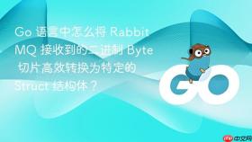 Go 语言中怎么将 RabbitMQ 接收到的二进制 Byte 切片高效转换为特定的 Struct 结构体？