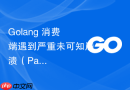 Golang 消费端遇到严重未可知崩溃（Panic）时如何保证 RabbitMQ 消息不丢失并正确释放？