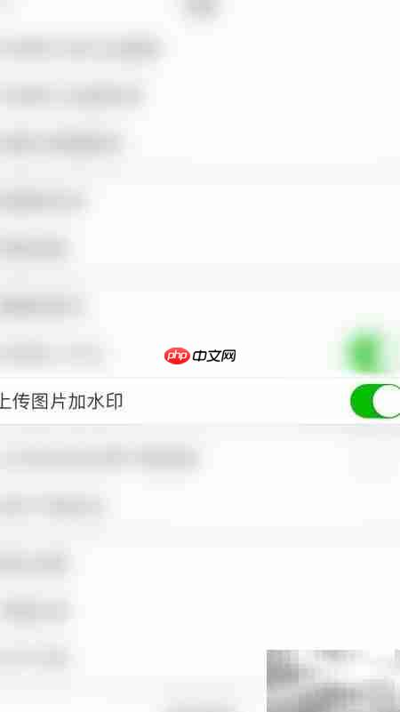 牛客图片上传加水印教程