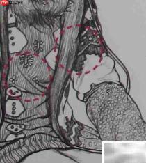 女单人坐姿速写