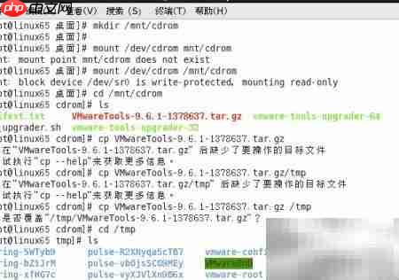 Linux安装VMware Tools指南