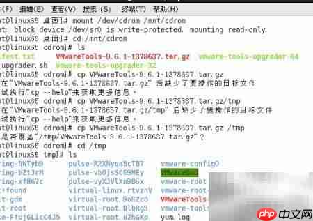 Linux安装VMware Tools指南