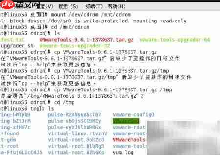 Linux安装VMware Tools指南