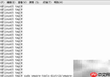 Linux安装VMware Tools指南
