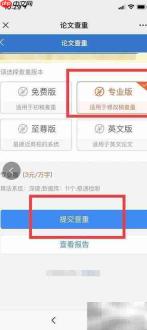 PaperAsk专业版检测提交指南