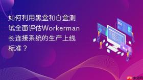 如何利用黑盒和白盒测试全面评估Workerman长连接系统的生产上线标准？