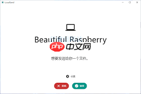 LocalSend文件传输怎么用