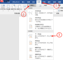 Word某一页设置横向其余不变怎么设置 Word怎么设置某一页的纸张大小