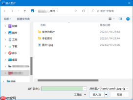 Office365图片显示不出来 Word显示图片的操作方法