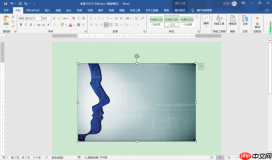 Office365图片显示不出来 Word显示图片的操作方法