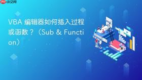 vba 编辑器如何插入过程或函数?(sub & function)