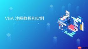 vba 注释教程和实例