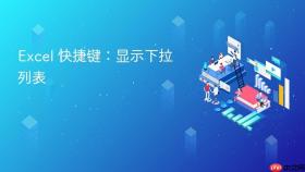 excel 快捷键:显示下拉列表