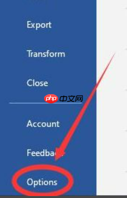 word菜单栏隐藏了怎么办 word菜单栏是灰色文档不能编辑
