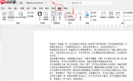 word文档标尺在哪里设置 word文档标尺怎么统一调整