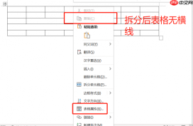 word拆分单元格怎么操作 word拆分单元格后没有横线