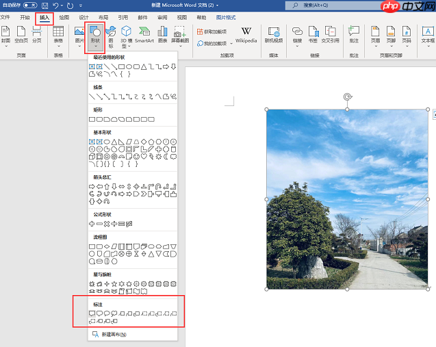 word图片标注怎么做 word图片标注箭头怎么弄