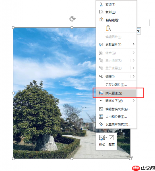 word图片标注怎么做 word图片标注箭头怎么弄