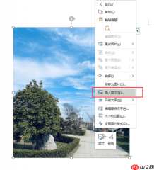 word图片标注怎么做 word图片标注箭头怎么弄