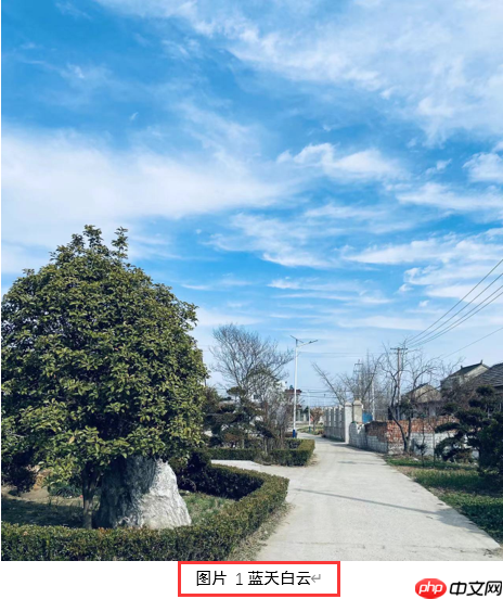 word图片标注怎么做 word图片标注箭头怎么弄