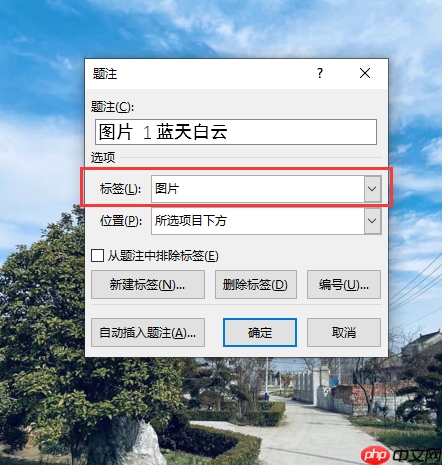 word图片标注怎么做 word图片标注箭头怎么弄