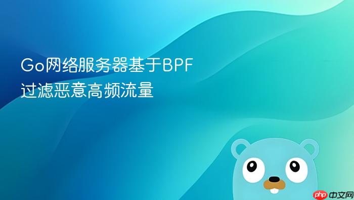 go网络服务器基于bpf过滤恶意高频流量