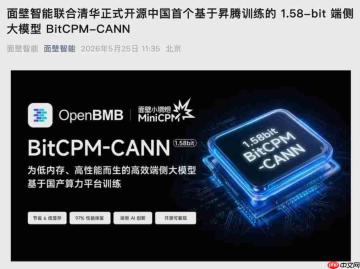 面壁智能联合清华大学发布中国首个1.58-bit大模型BitCPM-CANN