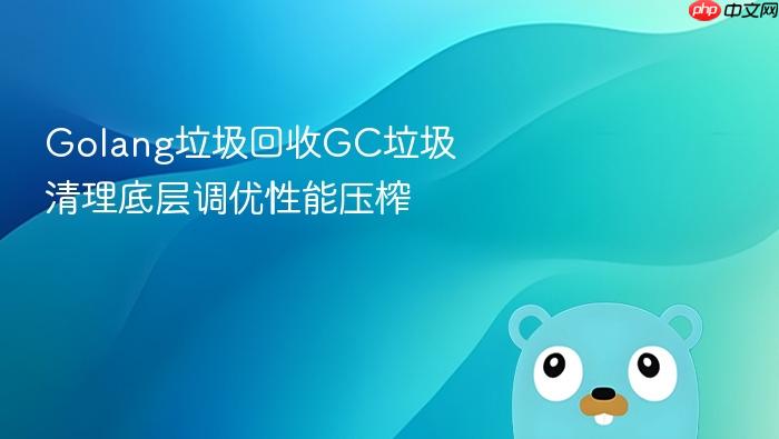 golang垃圾回收gc垃圾清理底层调优性能压榨