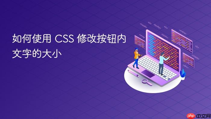 如何使用 CSS 修改按钮内文字的大小
