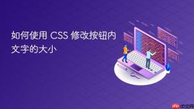 如何使用 CSS 修改按钮内文字的大小