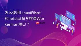 怎么使用linux的lsof和netstat命令排查workerman端口?