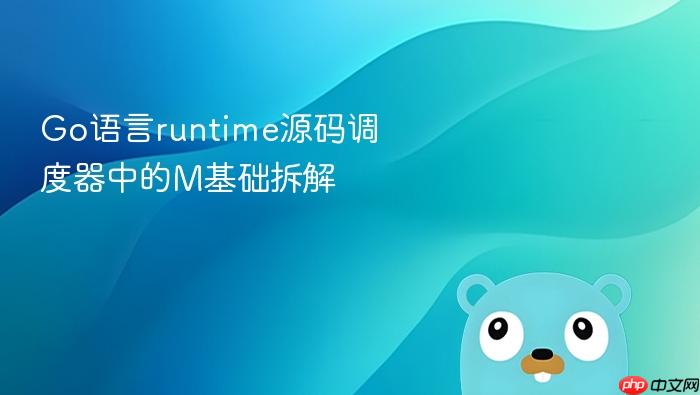 go语言runtime源码调度器中的m基础拆解