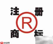 国际商标转让形式解析