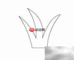 Flash绘制小草教程