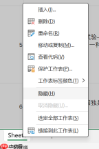 Excel如何隐藏表格内容 Excel隐藏表格内容方法