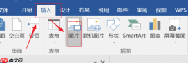 word底图应用到全部页面 word底图怎么去掉