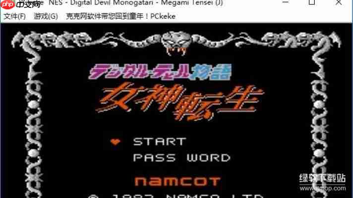 NES游戏2000合集无敌版下载:经典怀旧游戏免费畅玩