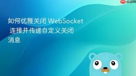 如何优雅关闭 WebSocket 连接并传递自定义关闭消息