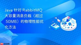 java 针对 rabbitmq 大容量消息负载（超过 50mb）的物理性能优化方法