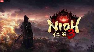 《仁王3》发布1.06版本更新 对难行石进行调整