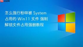 怎么强行粉碎被 system 占用的 win11 文件 强制解锁文件占用强删教程