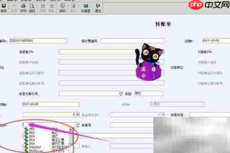 财务软件转账单录入方法