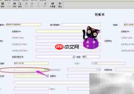 财务软件转账单录入方法