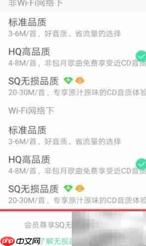 手机QQ音乐音质设置方法