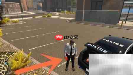Flashing Lights道路灯使用指南
