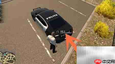 Flashing Lights道路灯使用指南