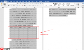 word隐藏表格怎么操作 word隐藏表格之后怎么恢复